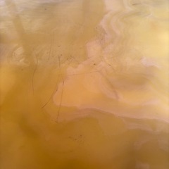 椅子、テーブルセット の画像