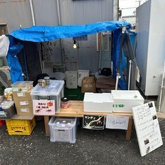【未定】初心者大歓迎!!★☆クワガタ販売会&昆虫くじ☆★
