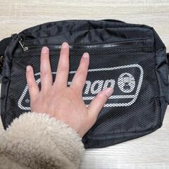Colemanミニバッグの画像