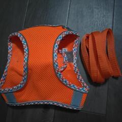 犬のハーネスとリード新品未使用の画像