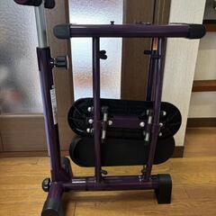SHOP JAPAN　レッグマジック X