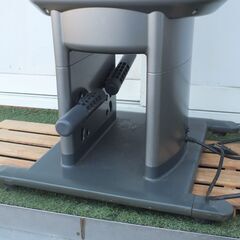 ロデオボーイの画像