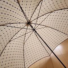 美品　傘　レディース　ドットの画像