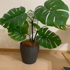 IKEA フェイクグリーン　モンステラ　