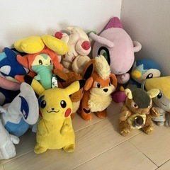 ポケモン ぬいぐるみ 大量 お譲りいたします ポケットモンスター
の画像