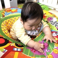 ボーネルンド  知育玩具　座椅子　ボールプール プレイネスト の画像