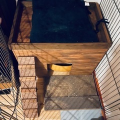 【値下げ】猫のトイレ、バッグ、トイレのBOXの画像