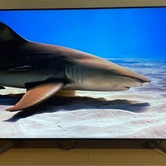 ソニー BRAVIA         ６５インチ　ブラビア　テレビ