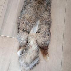 美品★リアルファーの画像