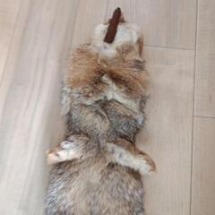 美品★リアルファーの画像