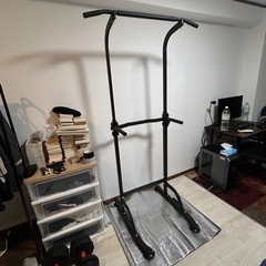 懸垂機 ぶら下がり健康器