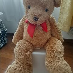 くまのぬいぐるみ