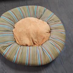 ペット用クッション　差し上げますの画像