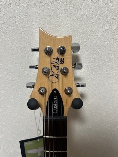 PRS SE semi hollow