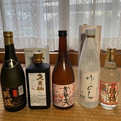 泡盛5本セット