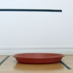 樹脂製水皿　(中)　使用済み　Ｉ-１