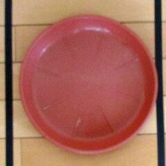 樹脂製水皿　(中)　使用済み　Ｉ-２の画像