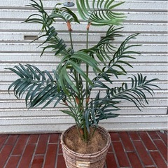 【受渡し予定者が決まりました】 観葉植物　造花