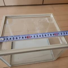 水槽の画像