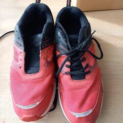 ダンロップの３０cmの赤いスニーカーの画像