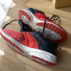 ダンロップの３０cmの赤いスニーカーの画像