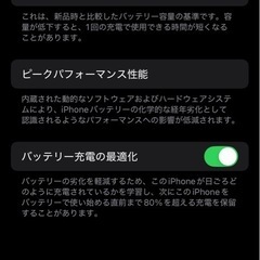 【シャッター音なし】iPhone 13 Pro 256GB グラファイト　カナダ版 の画像
