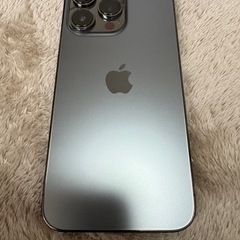 【シャッター音なし】iPhone 13 Pro 256GB グラファイト　カナダ版 の画像
