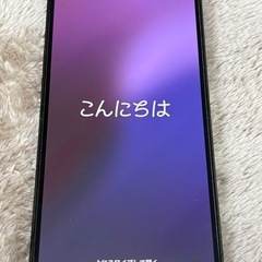 【シャッター音なし】iPhone 13 Pro 256GB グラファイト　カナダ版 の画像