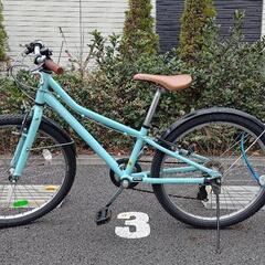 コーダーブルーム　24インチ