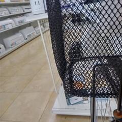 ★ジモティ割あり★  自転車 27インチ グレー クリーニング済み OJ7442の画像