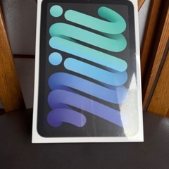 iPad mini6