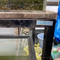 下1200水槽✖️上1200アクリル
水槽セット(台付)の画像