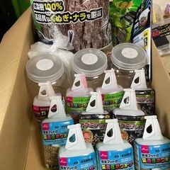 1月末まで！カブトムシ 消耗品セット（えさ、水、土など）