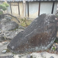 庭石の画像