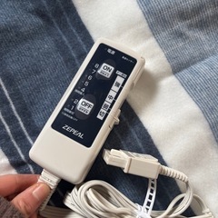 電気毛布の画像