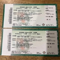 長島温泉　湯あみの島　チケット　ナガシマスパーランド　2枚