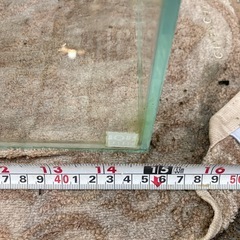 アクアシステム水槽の画像