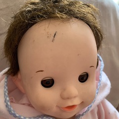 ポポちゃんの画像
