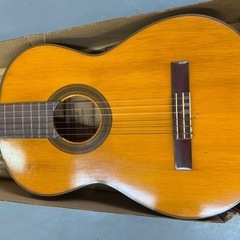 Shinano Guitar 13  ギター🎸の画像