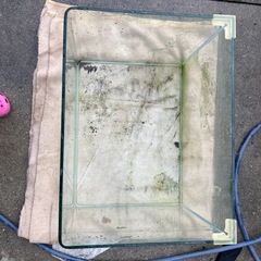ガラス水槽の画像