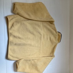 状態良好　Patagonia フリースの画像