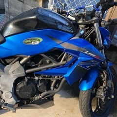 z250slバイク売却します。の画像