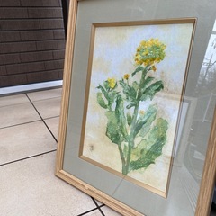 菜の花　絵