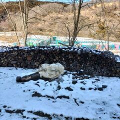 値下げしました　土日対応します　　雑木　薪積み放題　軽トラ持ち込...