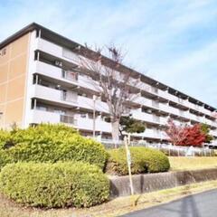 仲介手数料ご相談ください！周辺環境の充実した広々２LDK！
