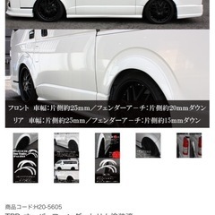 TPD オーバーフェンダー　塗装済(4R4)の画像