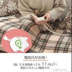 電気ひざ掛け毛布　電気毛布　
の画像