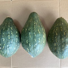 万次郎かぼちゃ　3個　かぼちゃ　カボチャ　南瓜　300円 250...