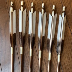 決まりました！矢6本セット（矢筒はおまけ）　の画像