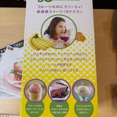 Dole yonanas フルーツアイスクリームメーカーの画像